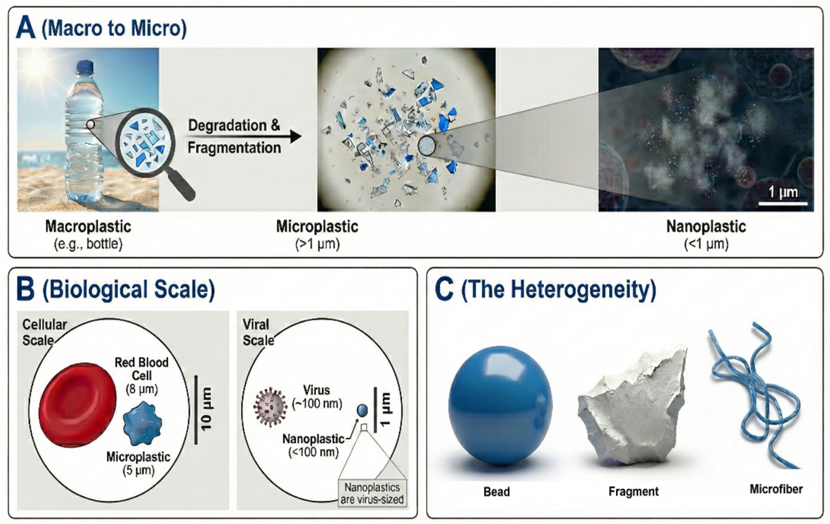 Microplastics 05 00131 g002 Microplastics 05 00131 g002