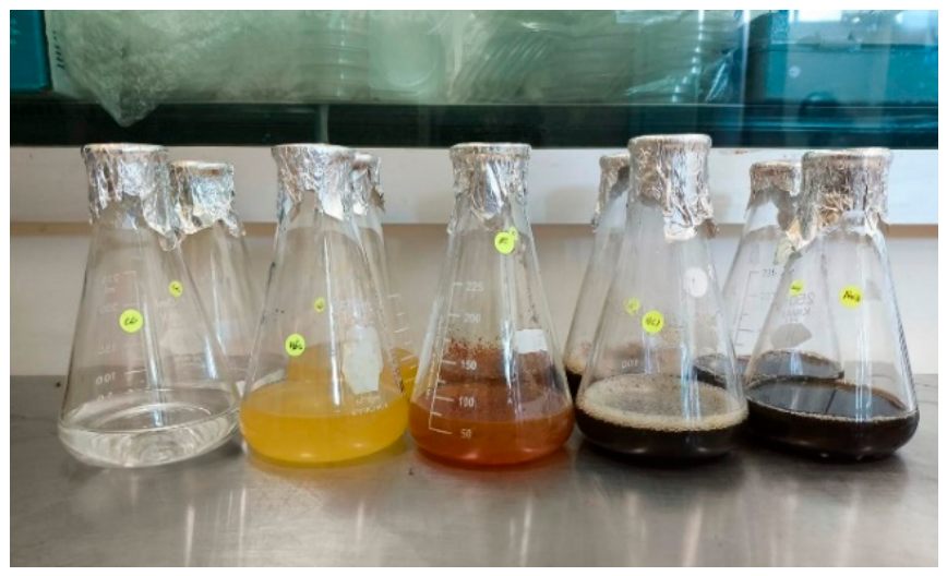 Microplastics 05 00134 g003 Microplastics 05 00134 g003