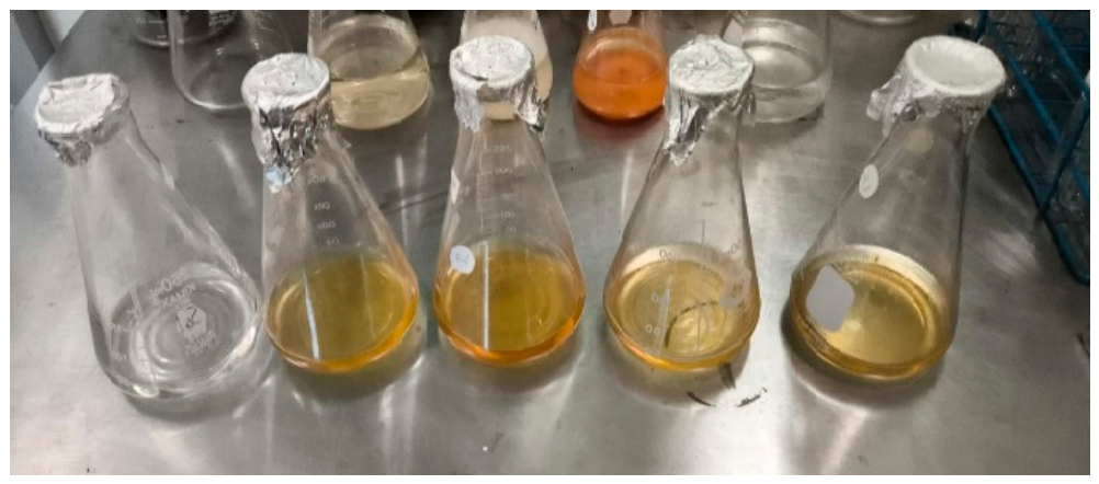 Microplastics 05 00134 g004 Microplastics 05 00134 g004