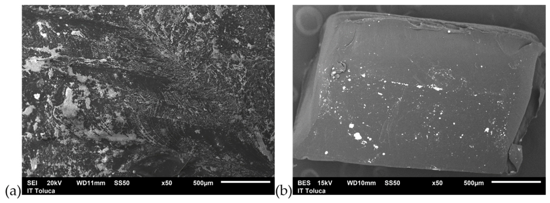 Microplastics 05 00134 g009 Microplastics 05 00134 g009