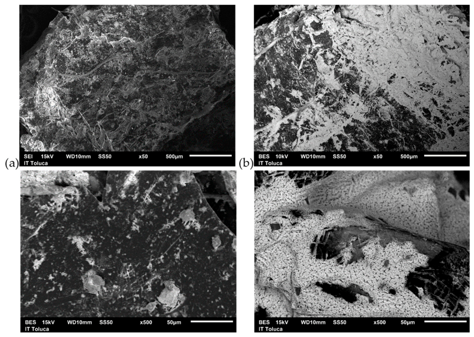 Microplastics 05 00134 g010 Microplastics 05 00134 g010