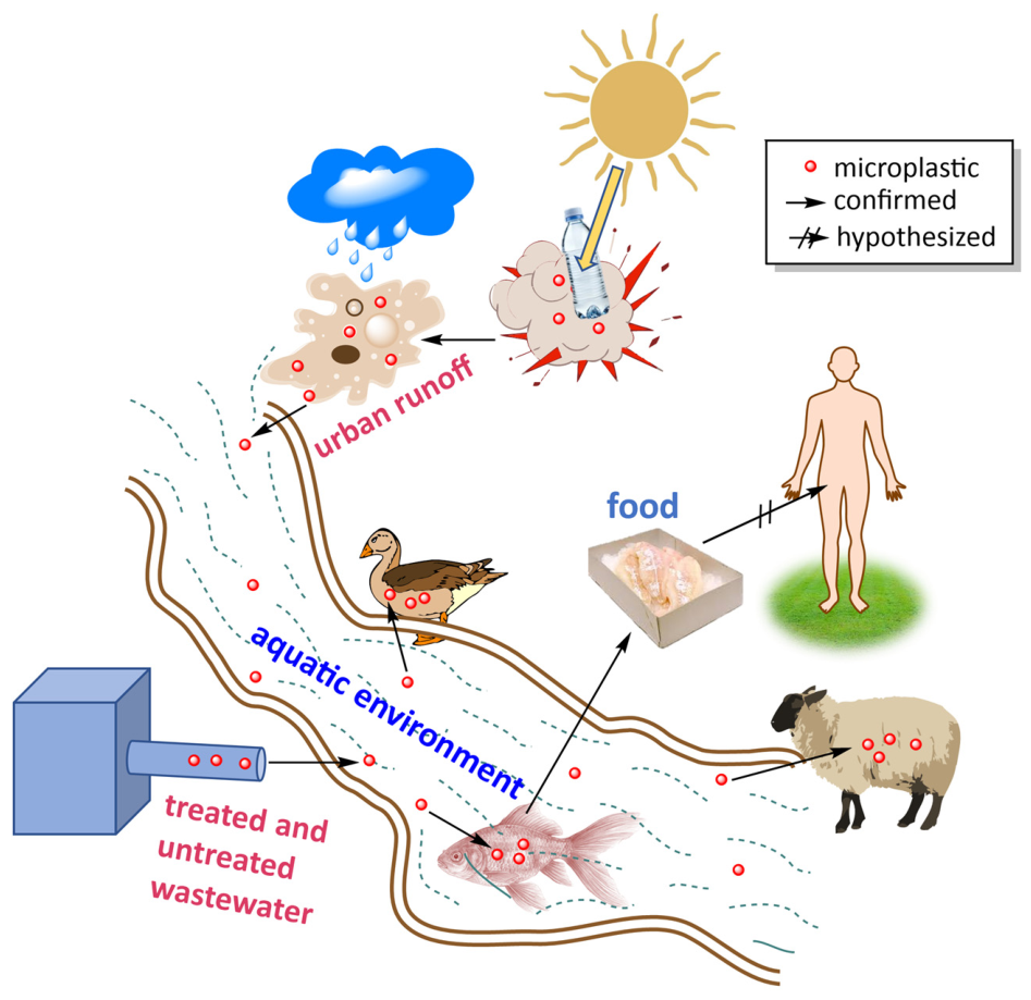Microplastics 05 00137 g002 Microplastics 05 00137 g002