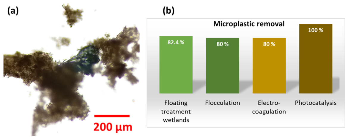Microplastics 05 00137 g004 Microplastics 05 00137 g004