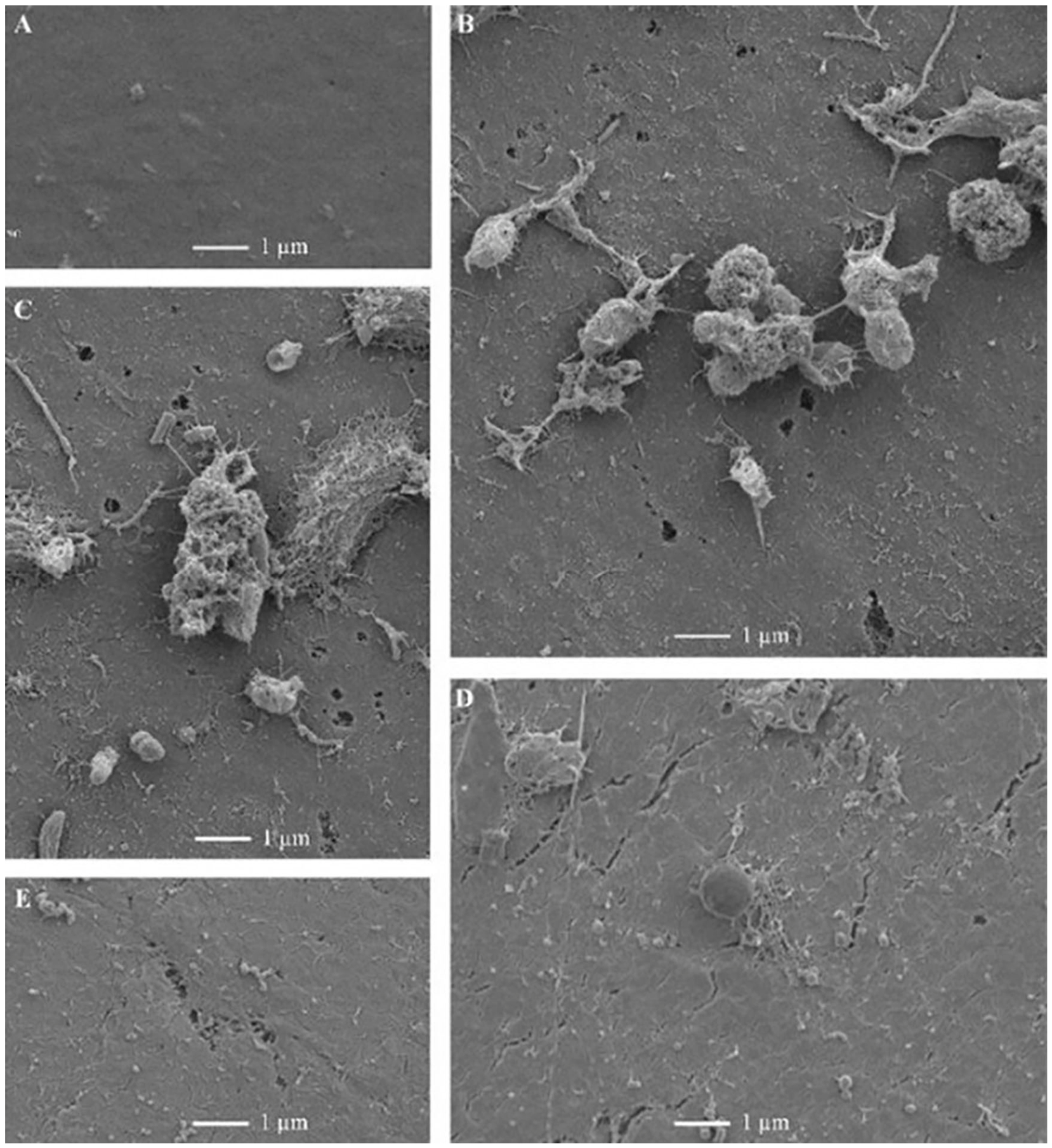 Microplastics 05 00138 g003 Microplastics 05 00138 g003