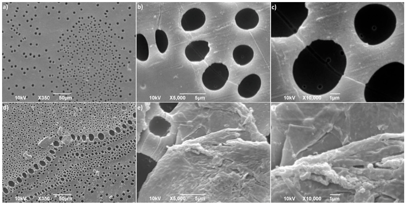 Microplastics 05 00138 g009 Microplastics 05 00138 g009