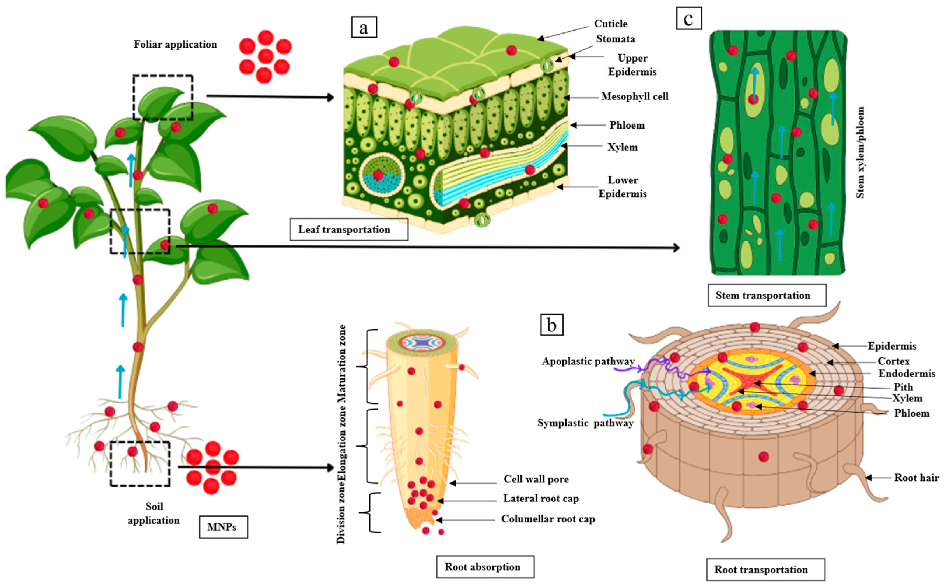 Microplastics 05 00139 g002