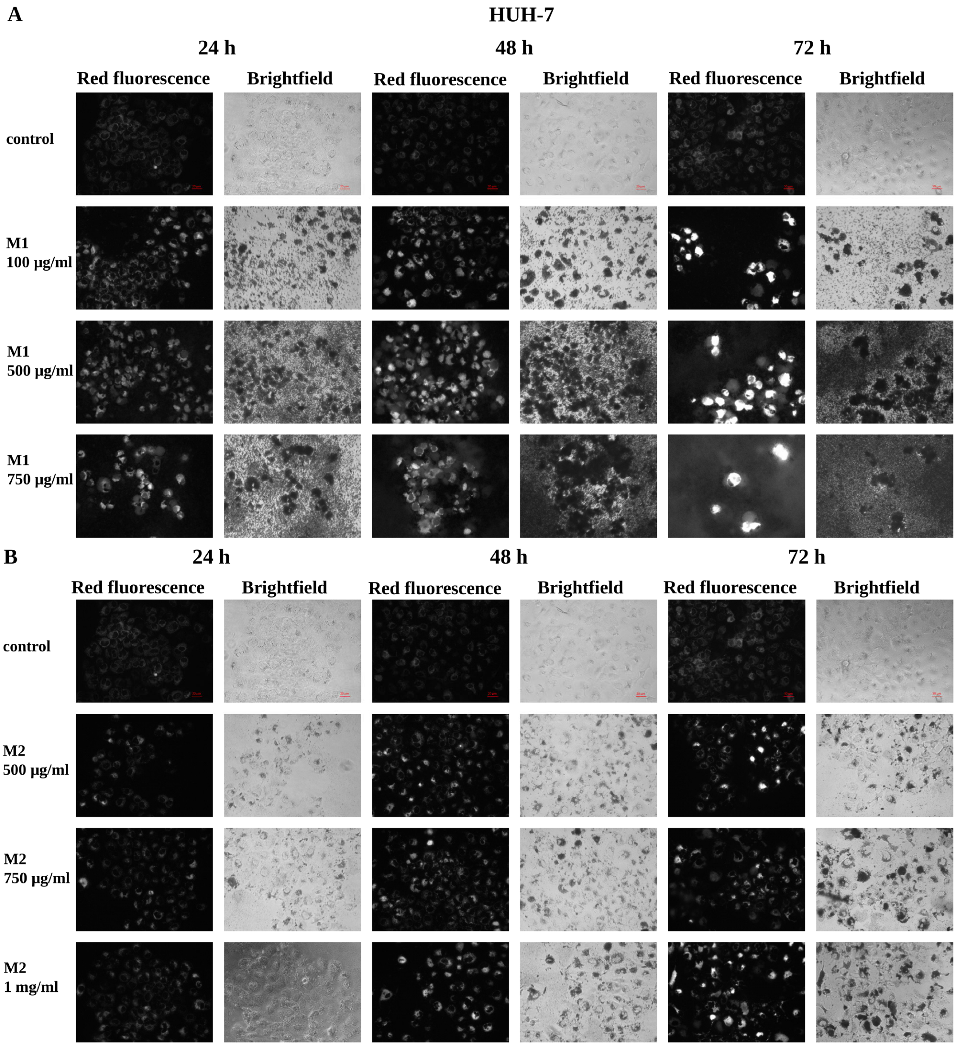 Microplastics 05 00169 g001 Microplastics 05 00169 g001