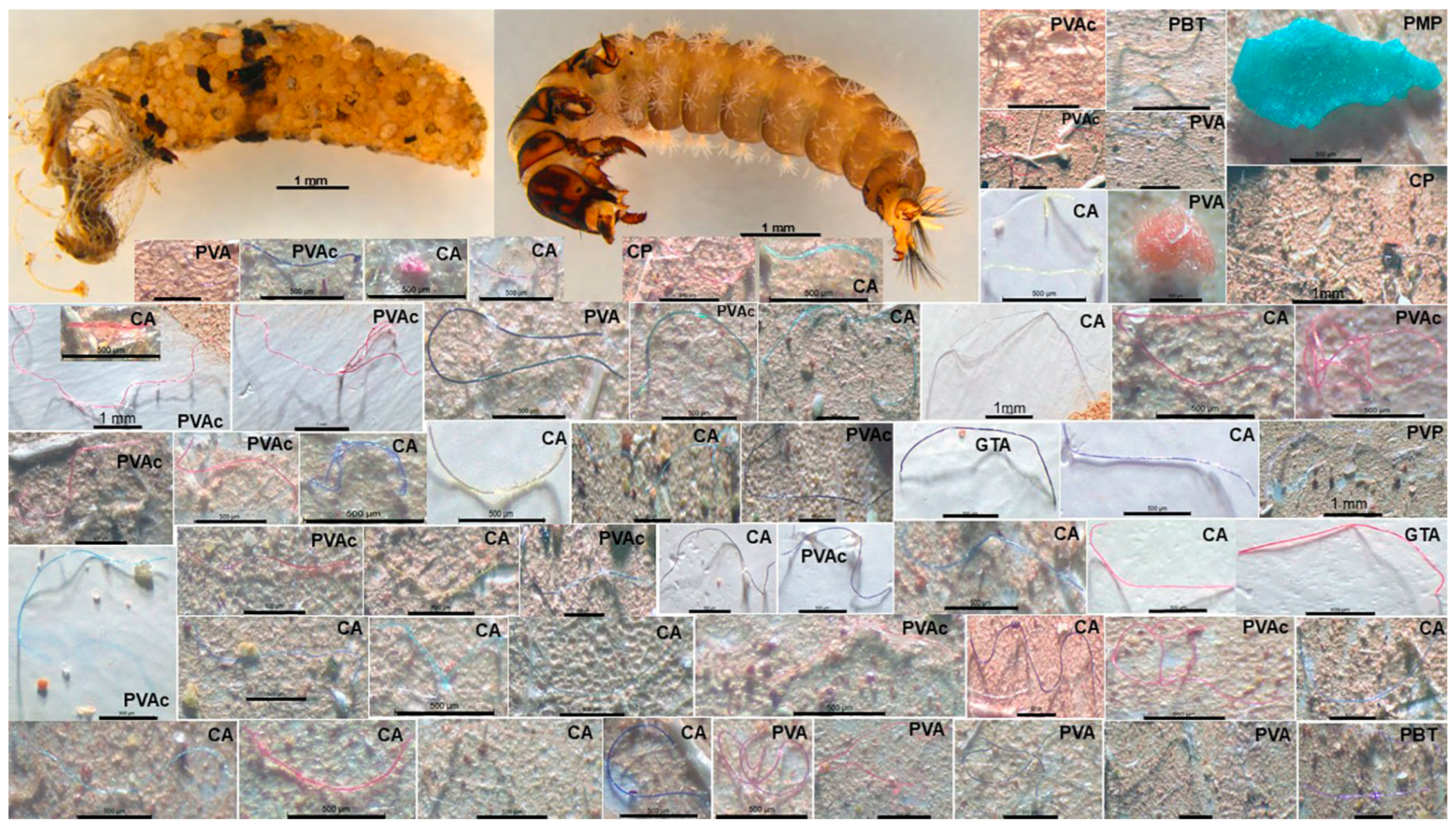 Microplastics 05 00170 g001 Microplastics 05 00170 g001