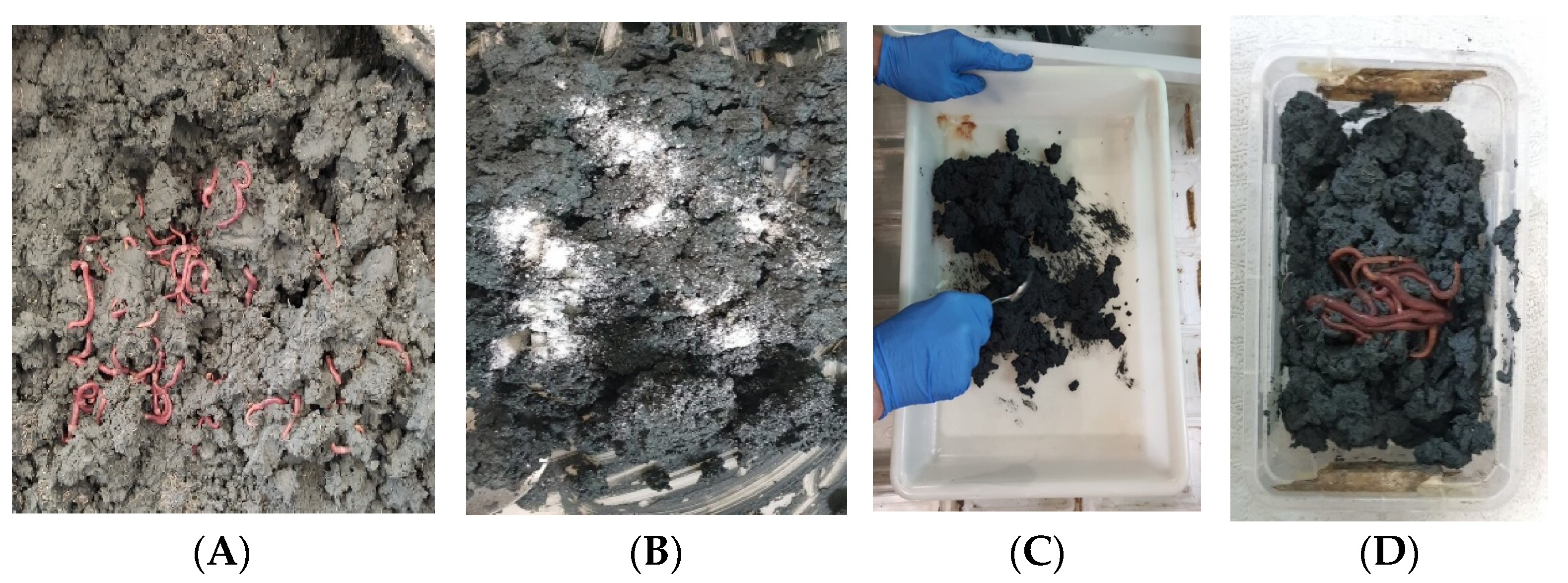 Microplastics 05 00182 g001 Microplastics 05 00182 g001