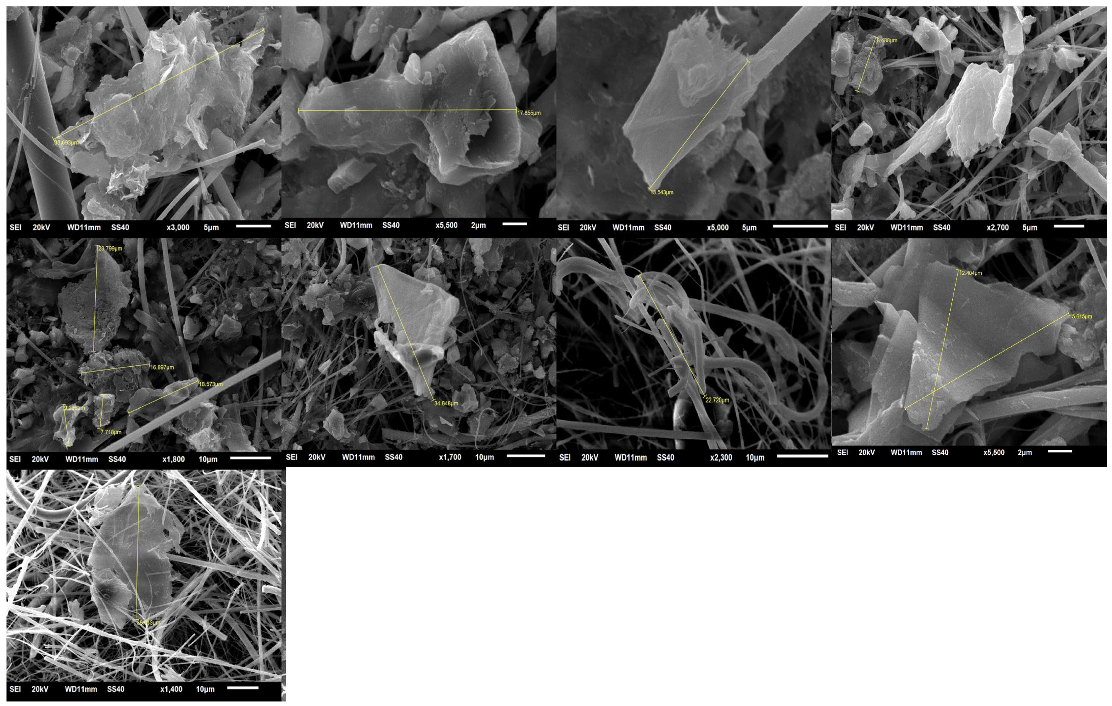 Microplastics 05 00211 g001