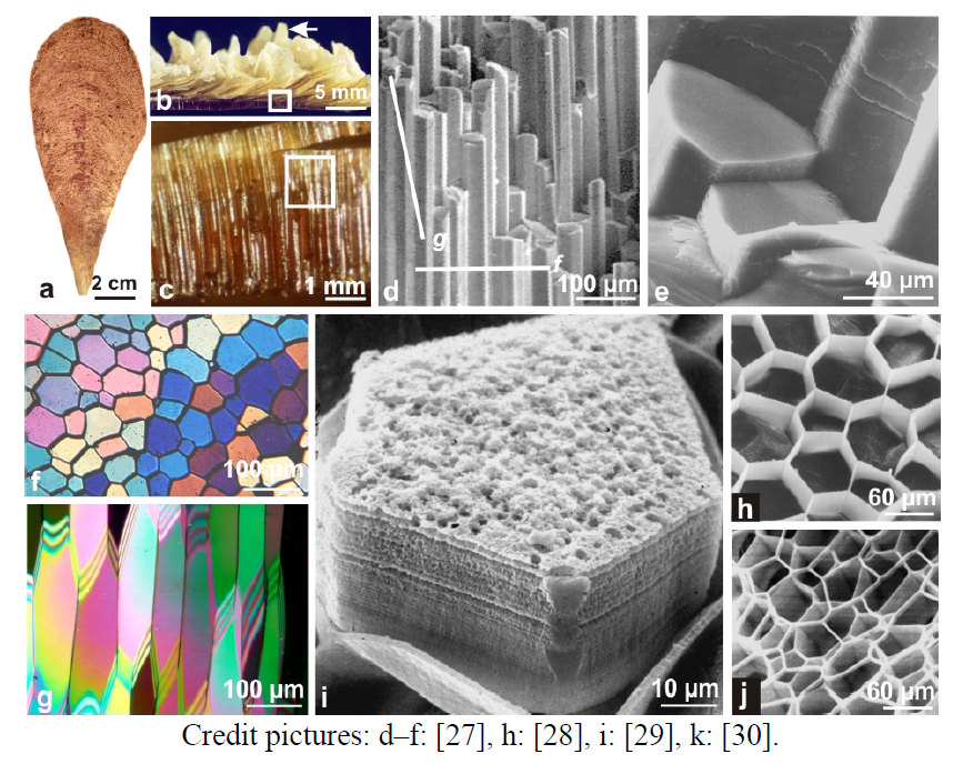 Minerals 02 00011 g001 1024