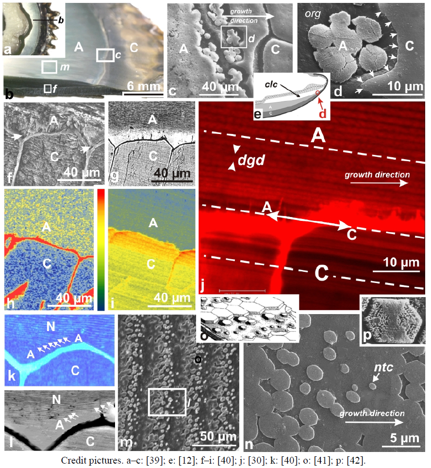 Minerals 02 00011 g003 1024