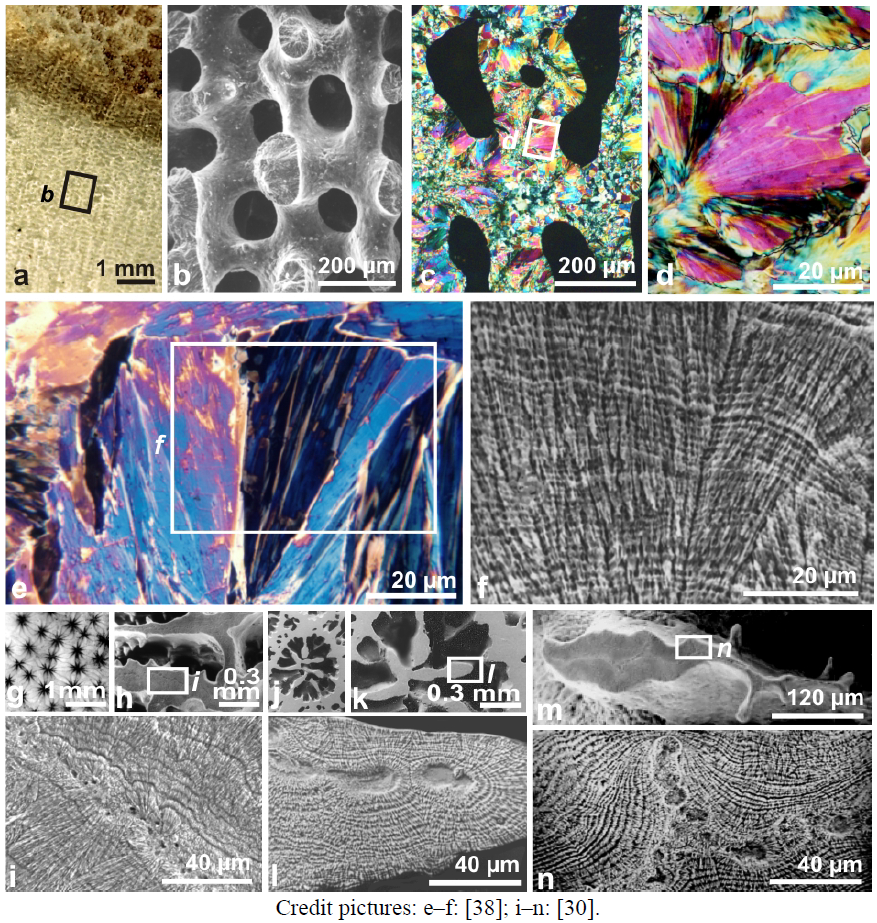 Minerals 02 00011 g004 1024