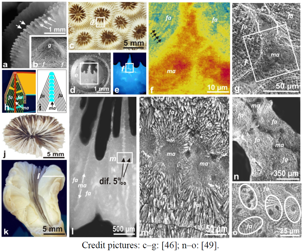 Minerals 02 00011 g005 1024
