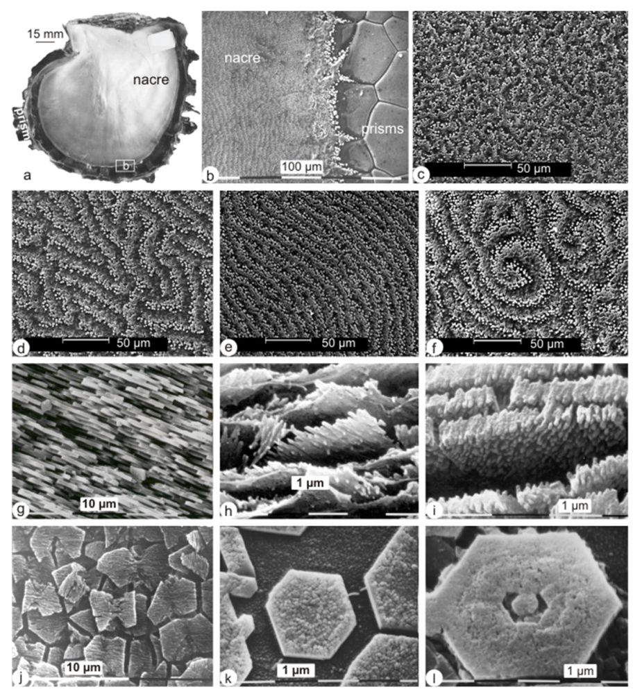 Minerals 02 00040 g001 1024