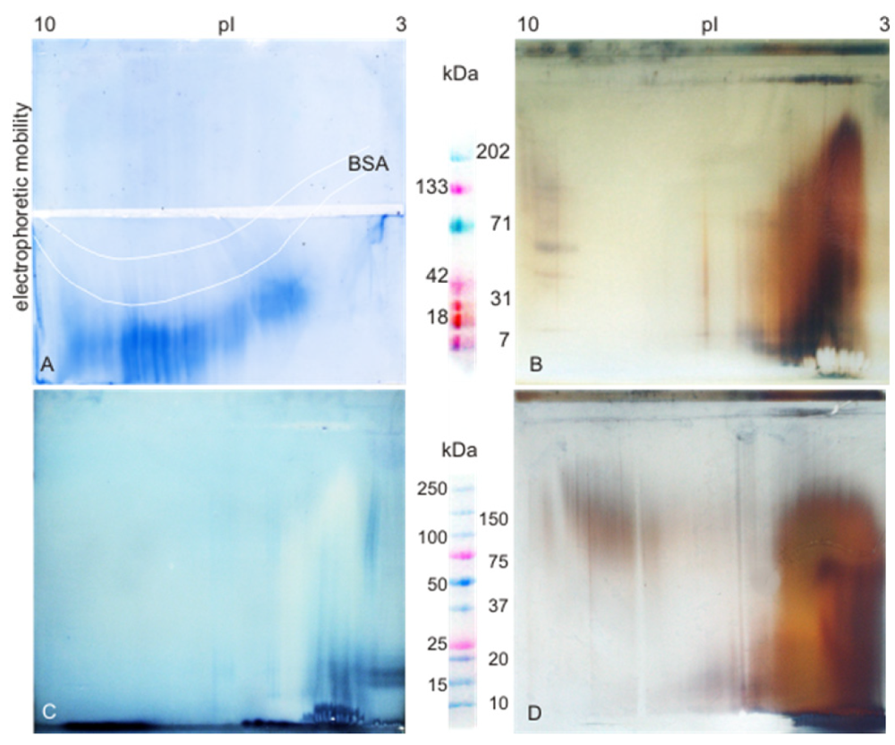 Minerals 02 00040 g003