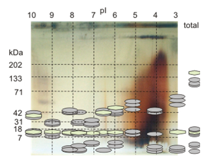 Minerals 02 00040 g007 1024