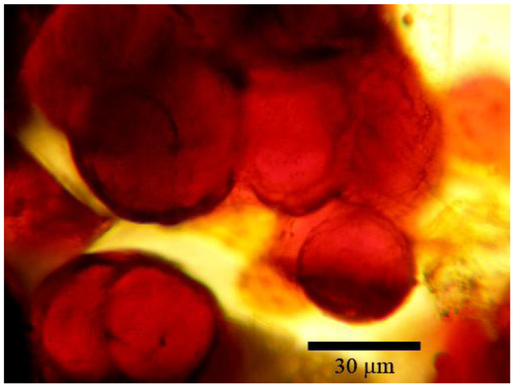 Minerals 02 00169 g006