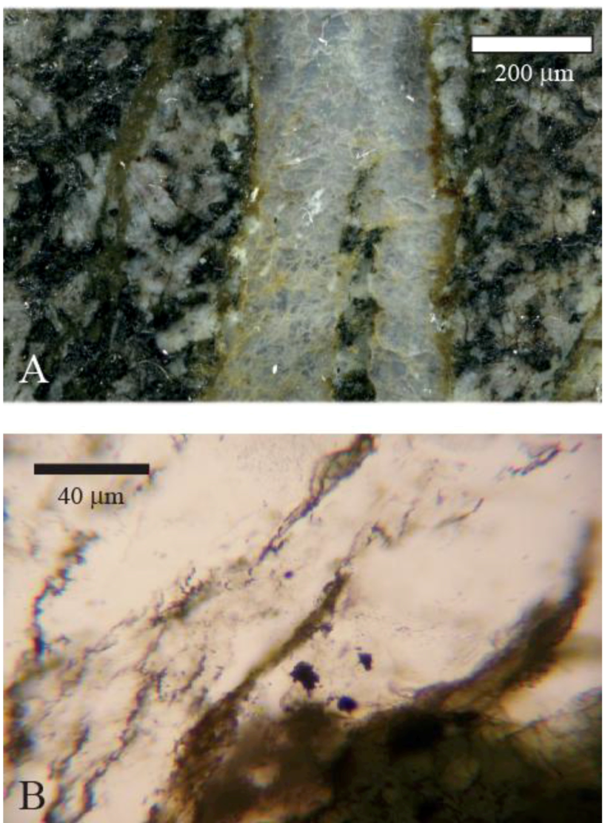 Minerals 02 00385 g006