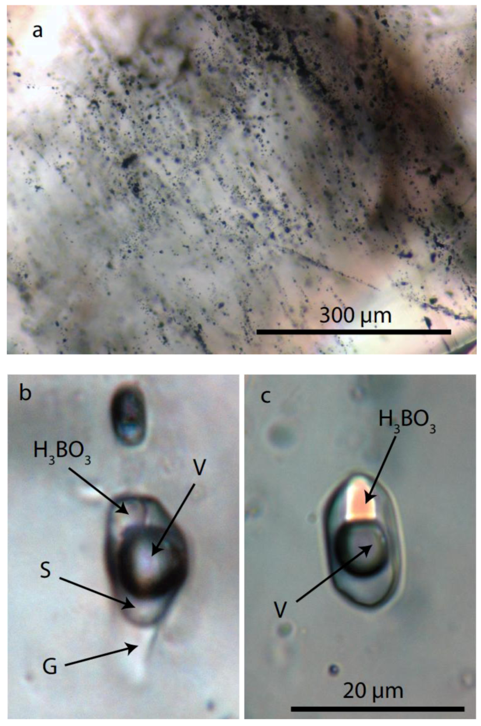 Minerals 02 00435 g002 1024