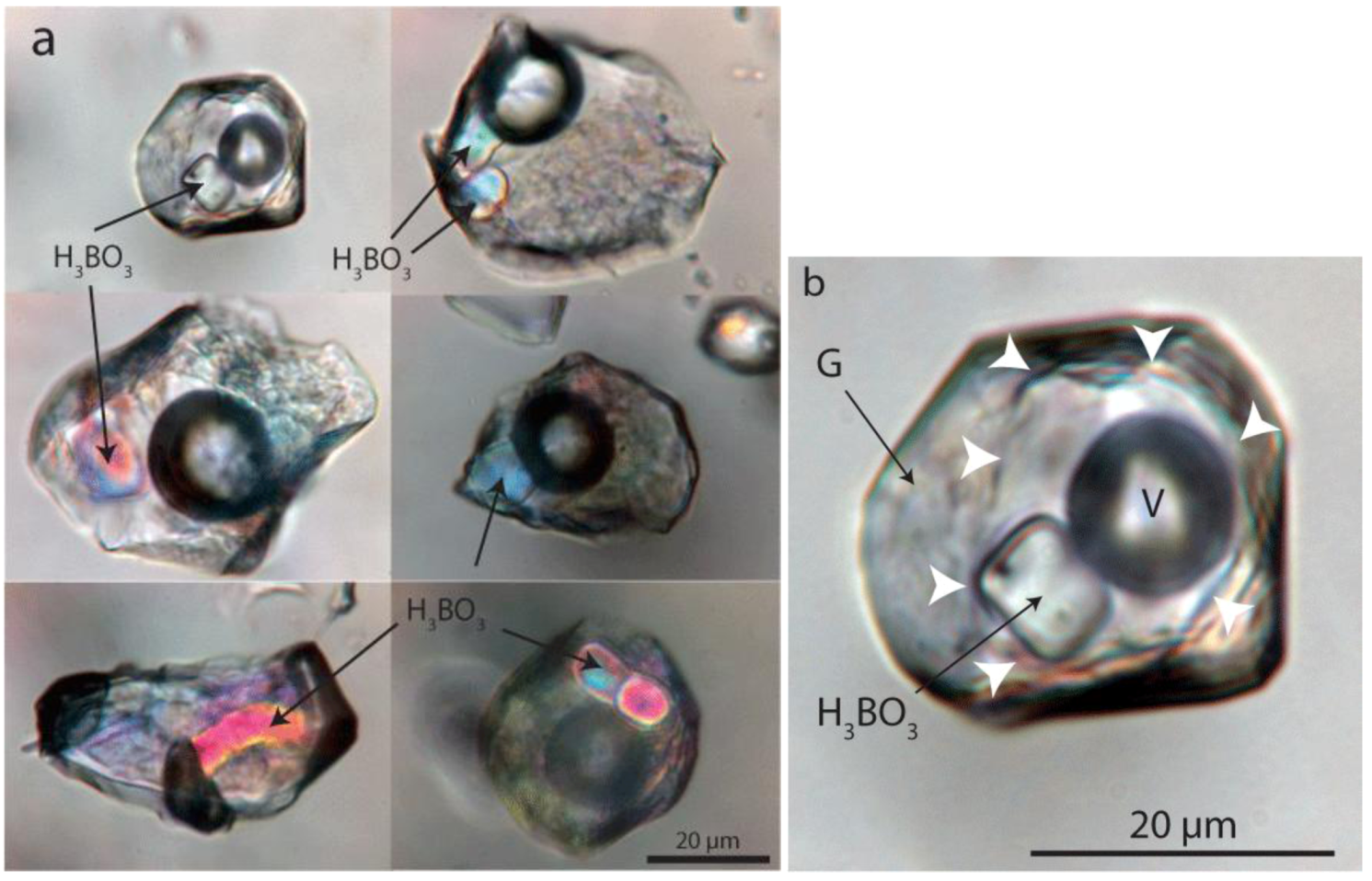 Minerals 02 00435 g003