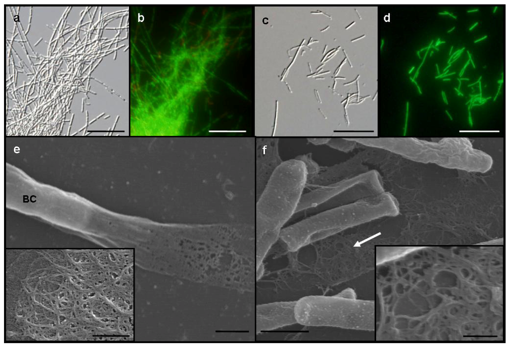 Minerals 03 00073 g001 1024