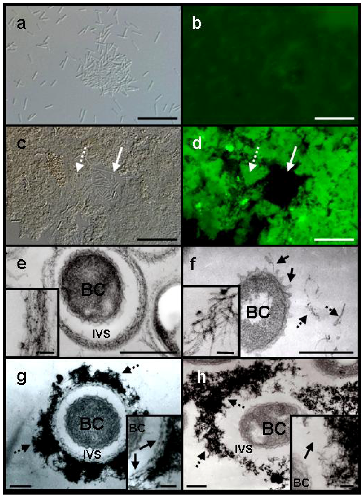 Minerals 03 00073 g002
