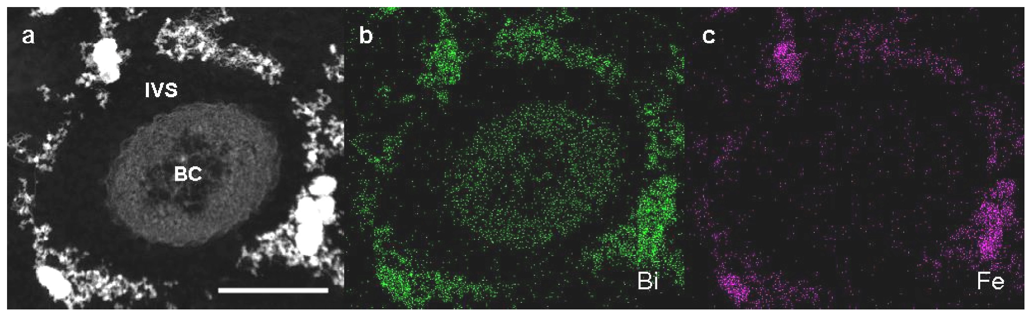 Minerals 03 00073 g003
