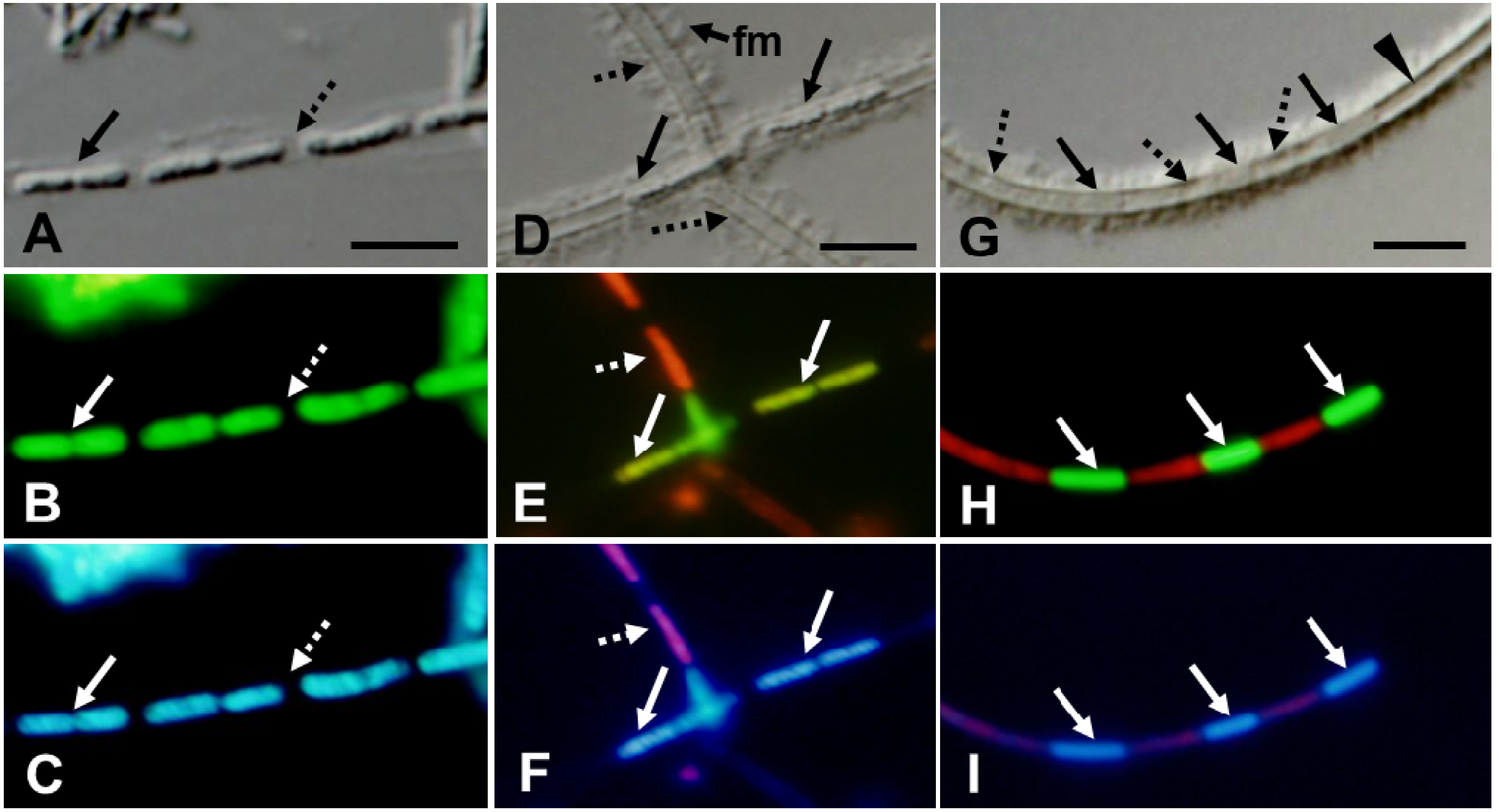 Minerals 03 00247 g002