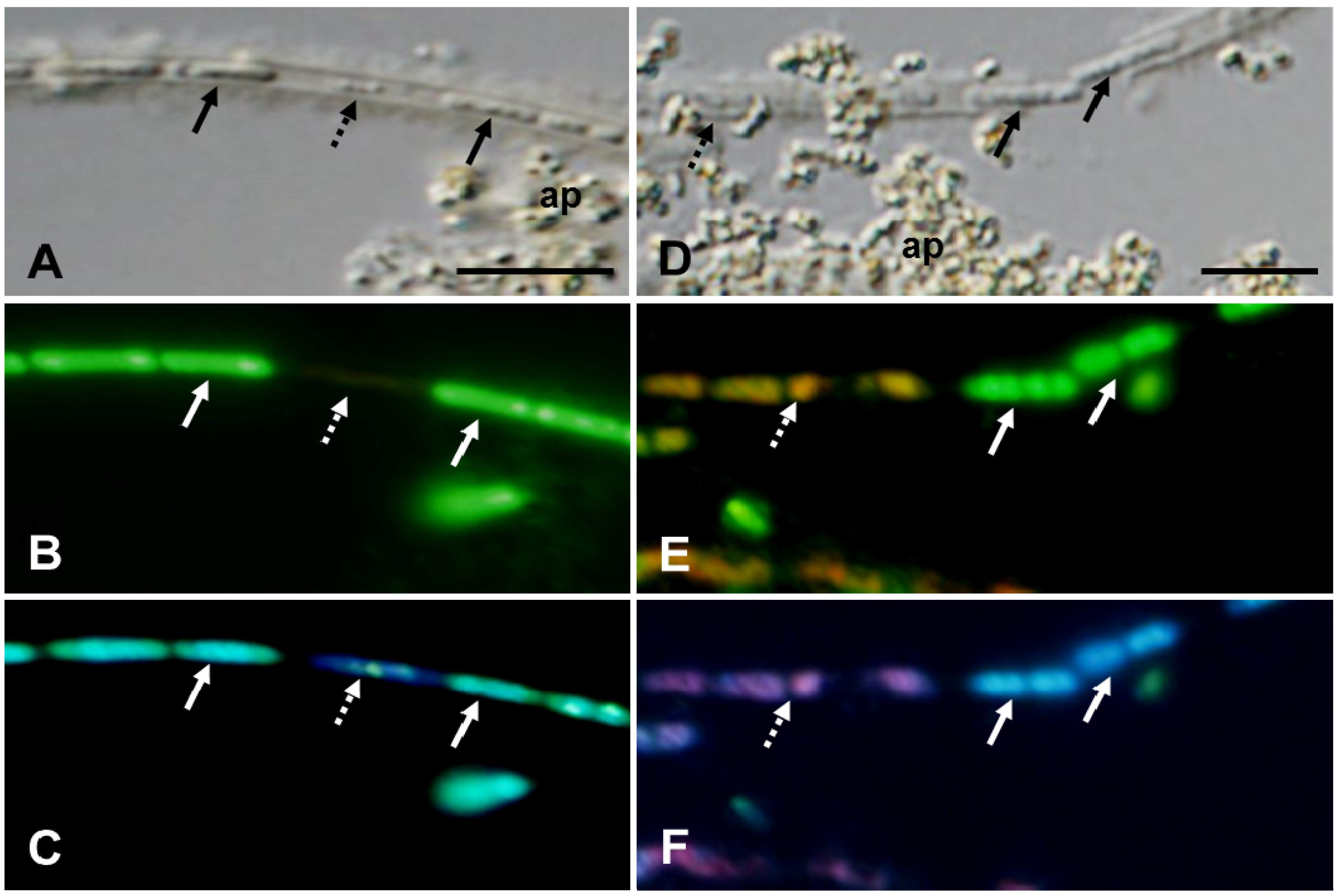 Minerals 03 00247 g003