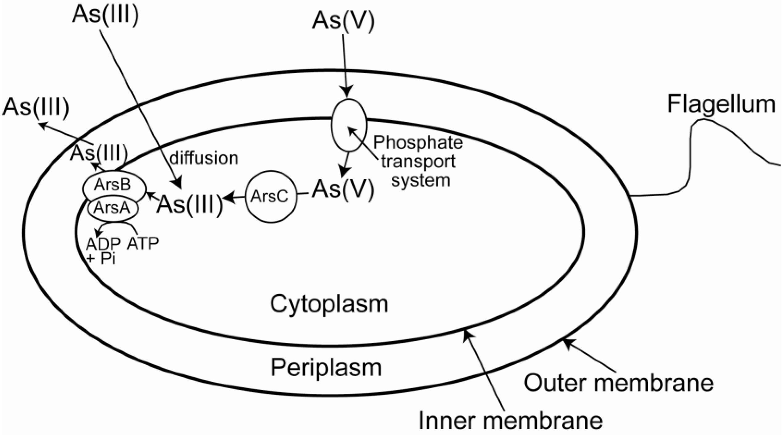 Minerals 03 00337 g002