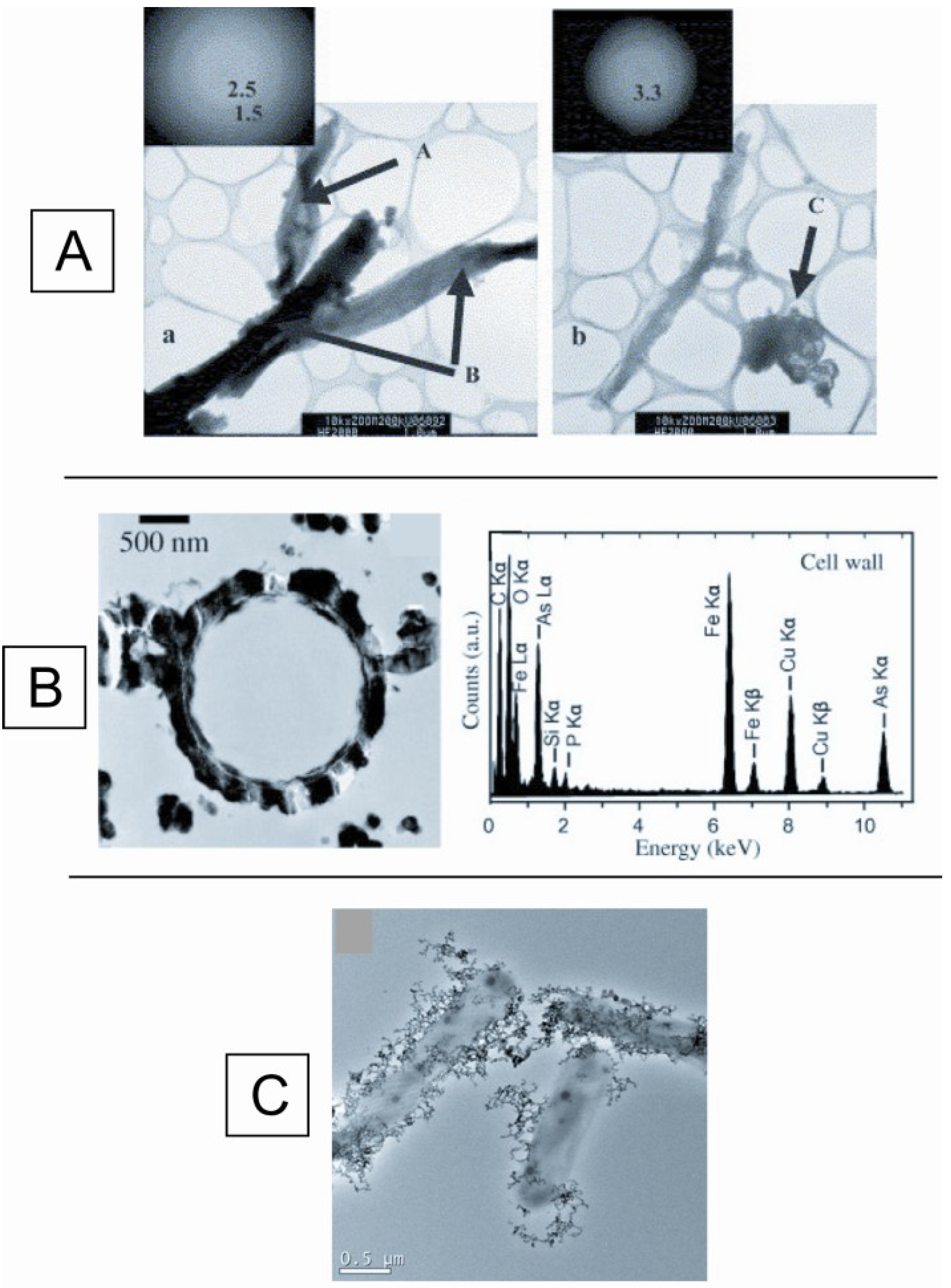 Minerals 03 00337 g004