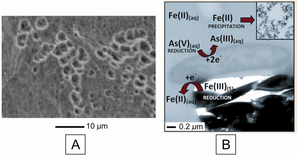 Minerals 03 00337 g005 1024