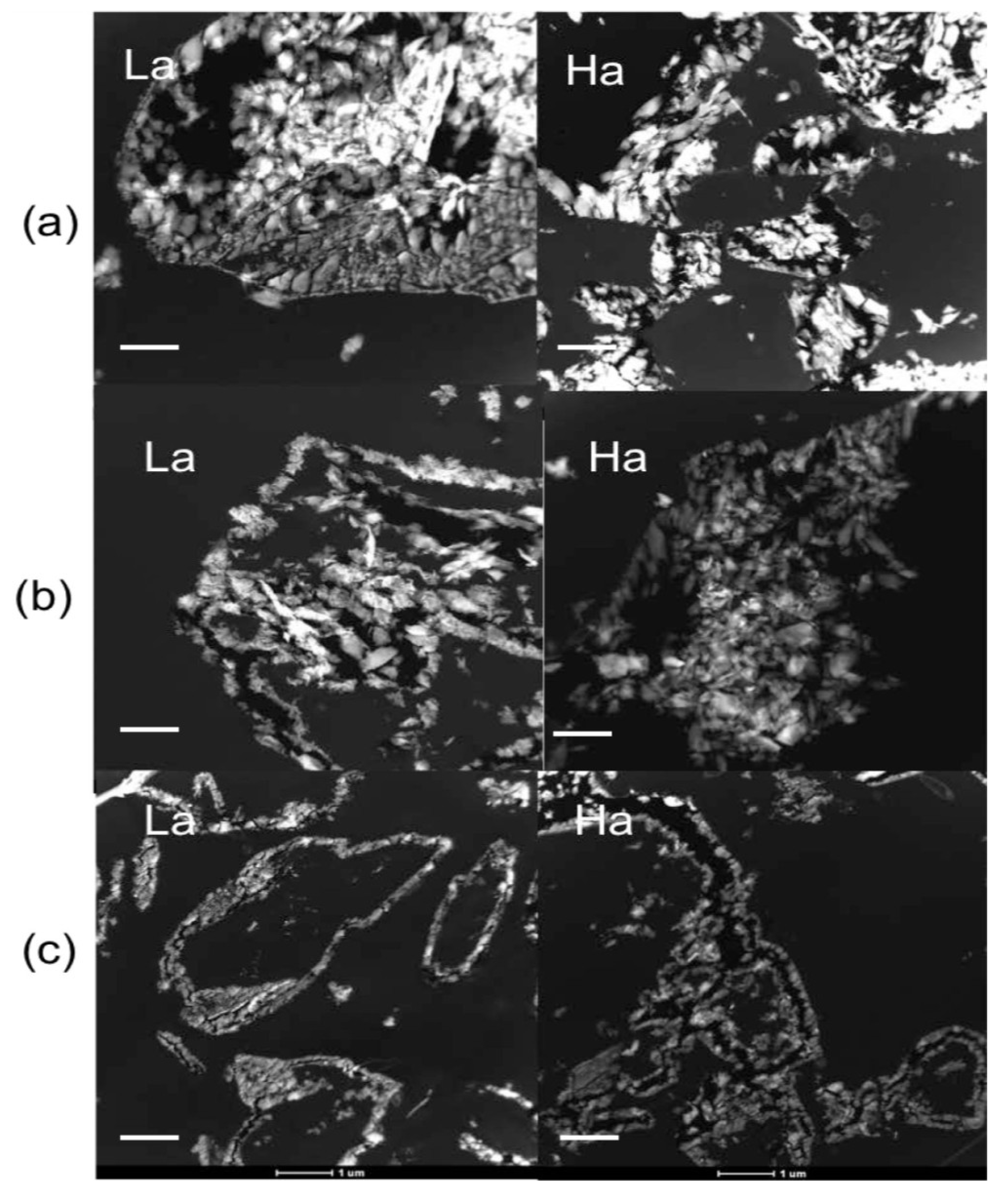 Minerals 04 00017 g005