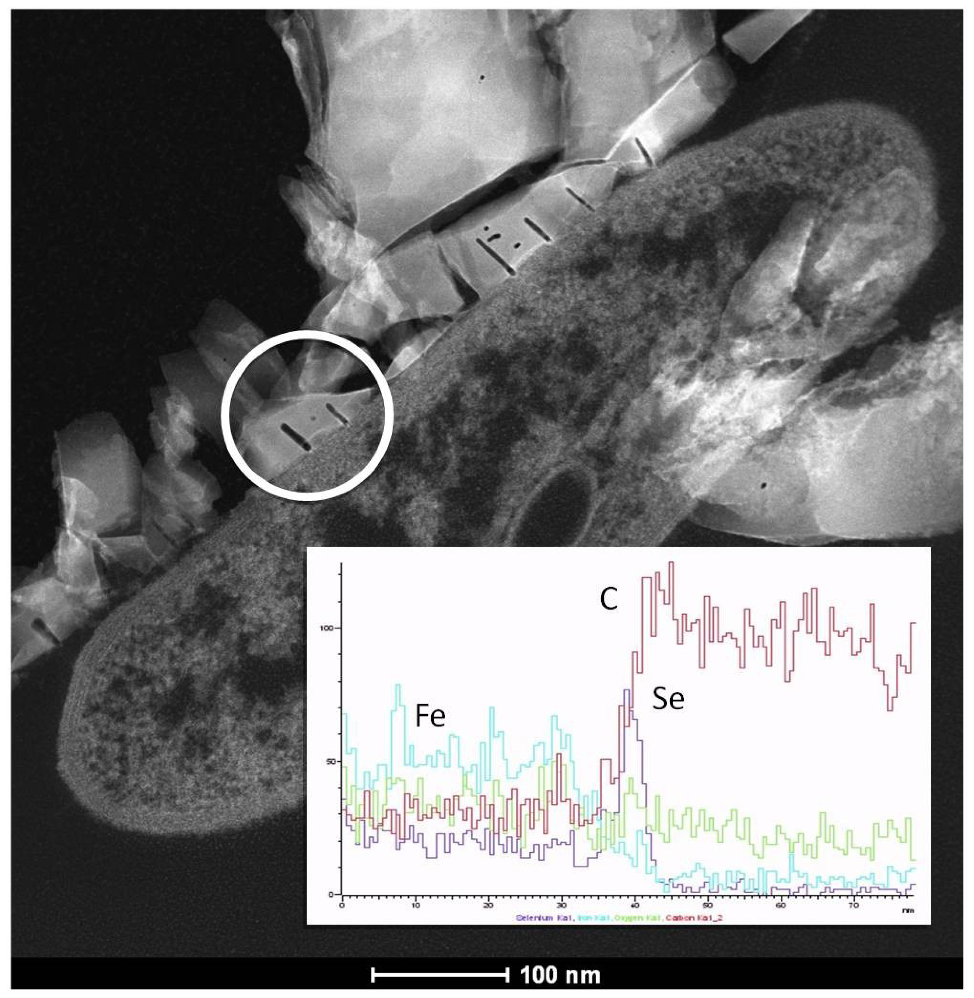 Minerals 04 00017 g007