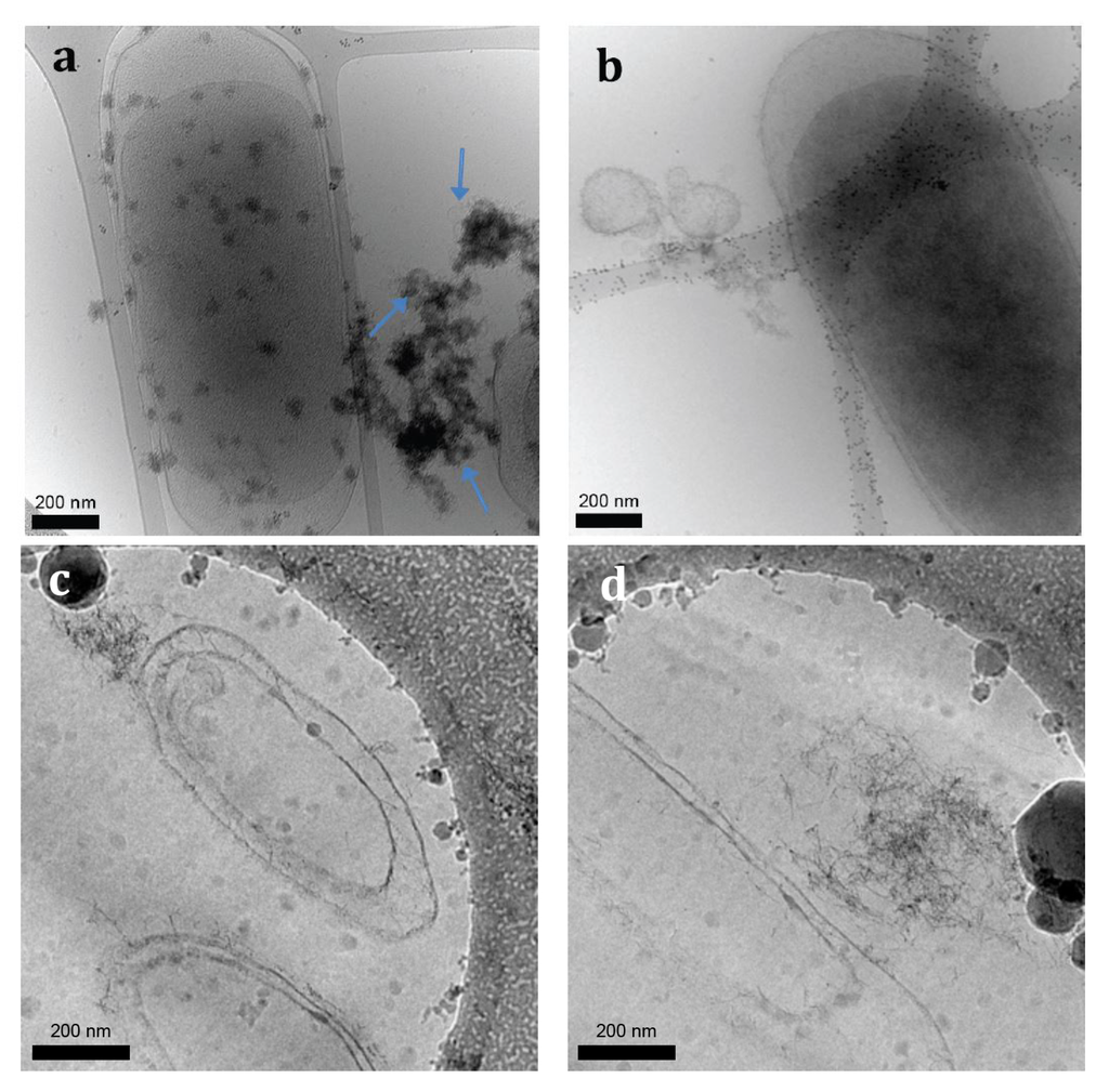 Minerals 04 00074 g001 1024