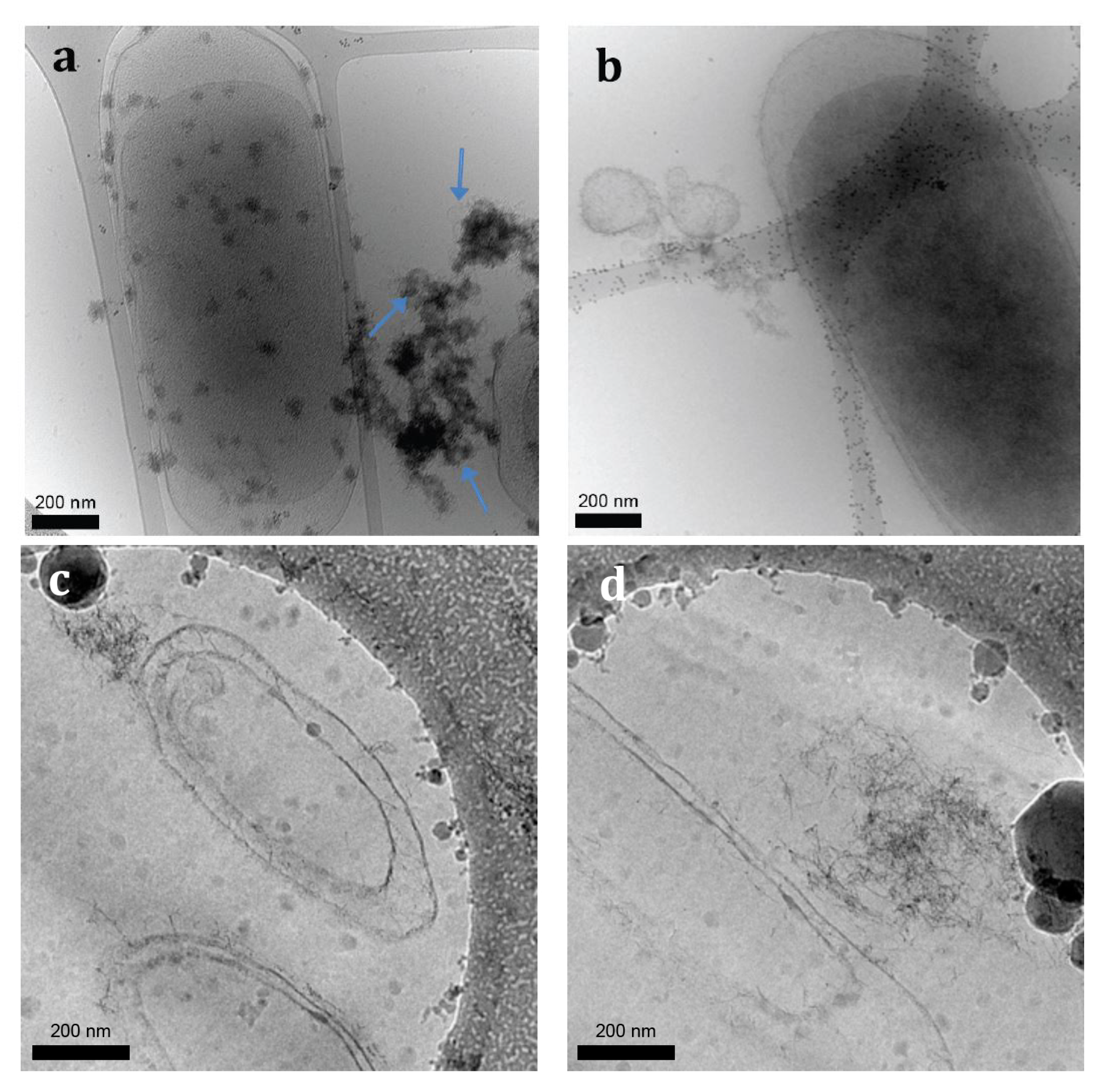 Minerals 04 00074 g001