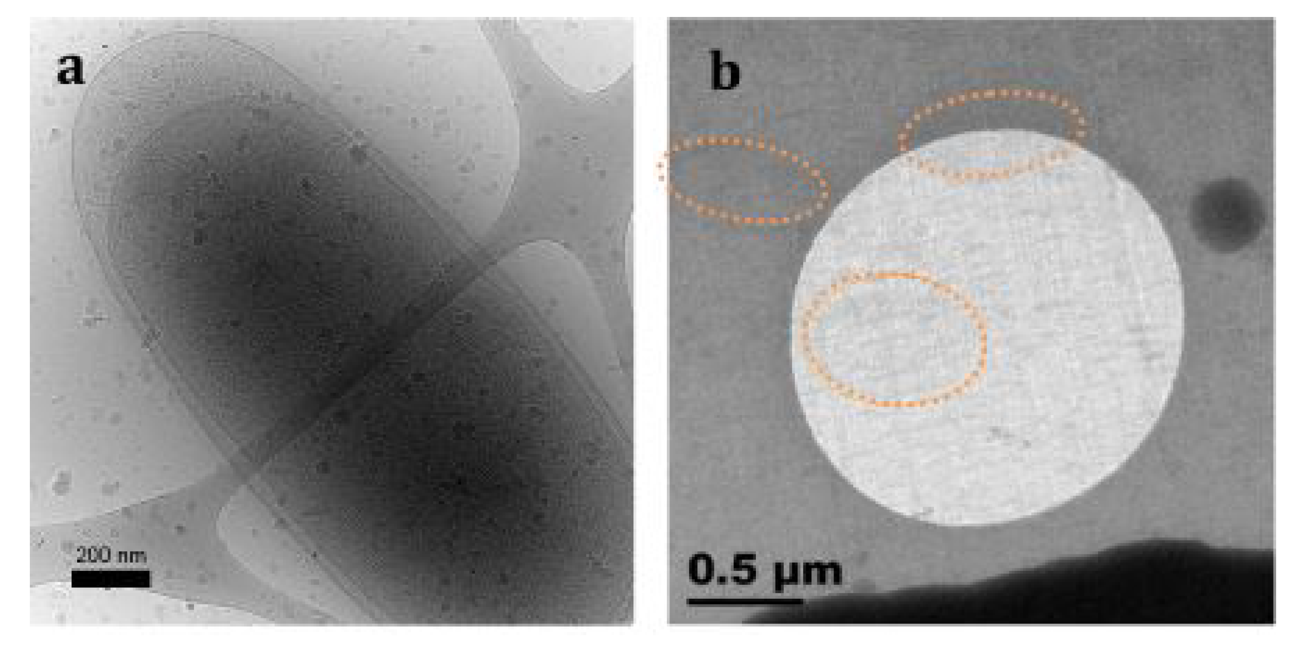 Minerals 04 00074 g003