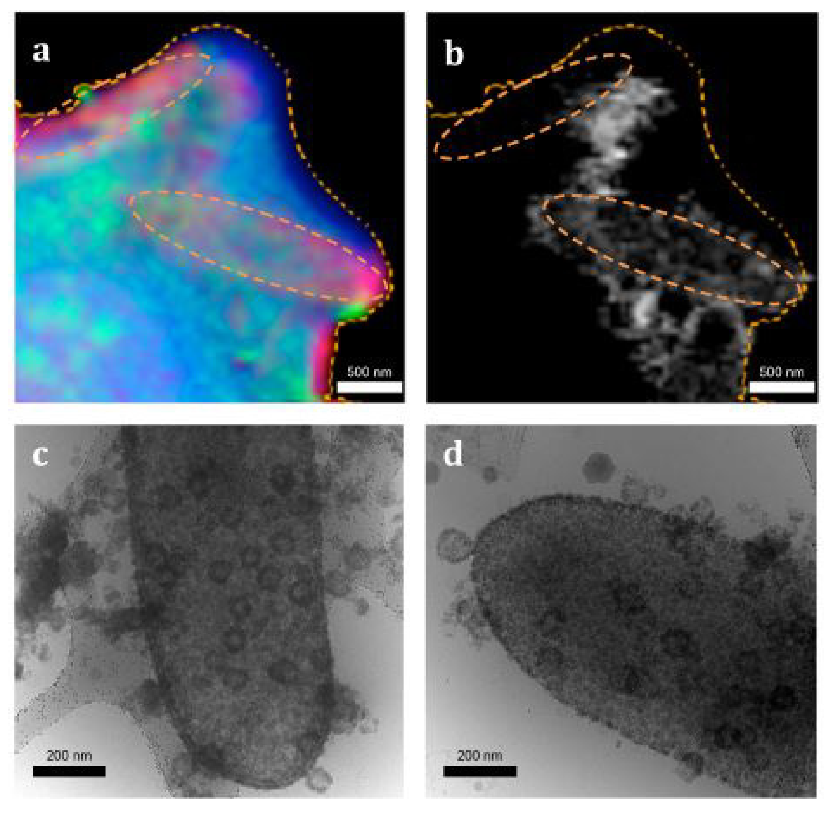 Minerals 04 00074 g005