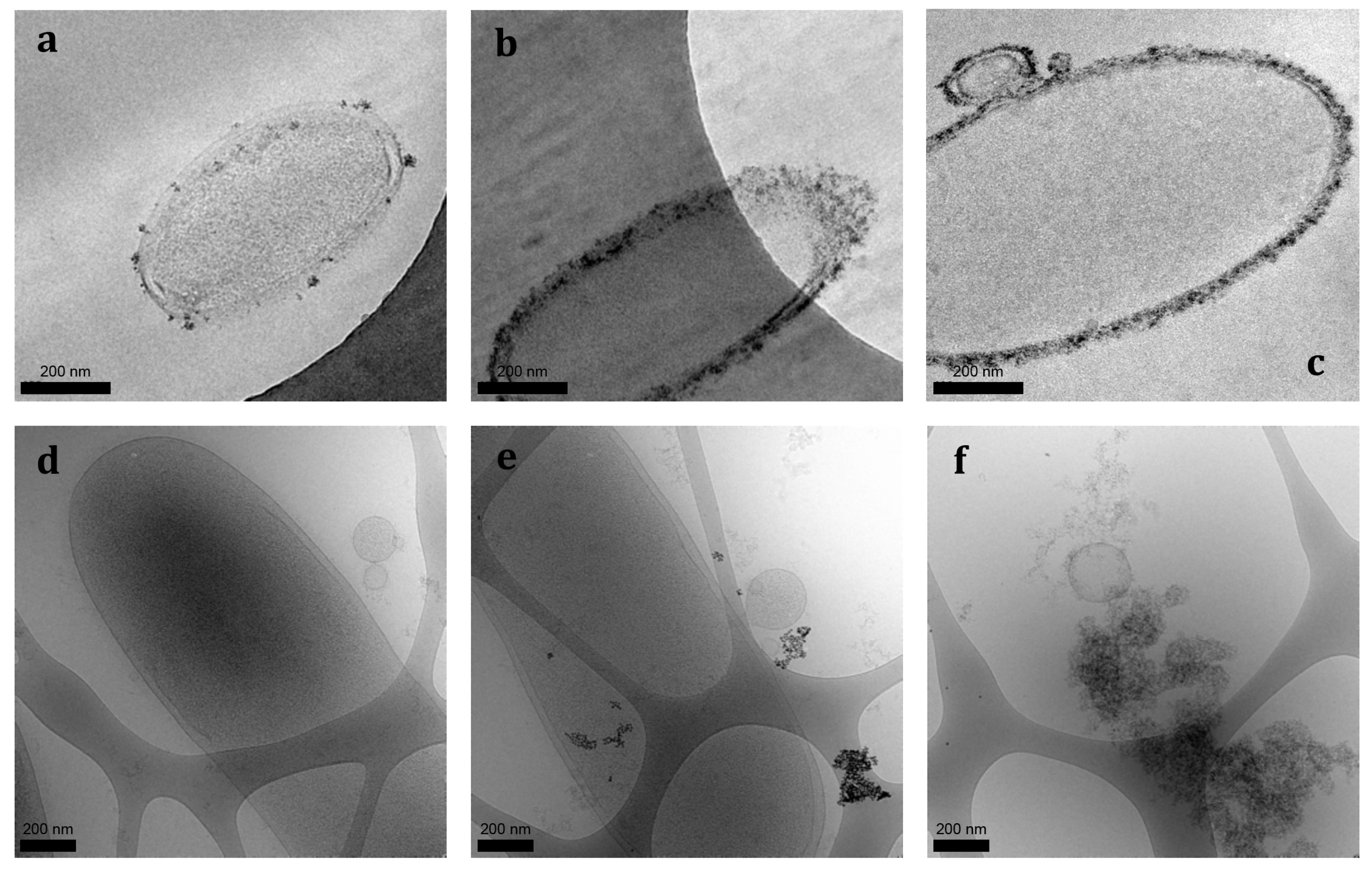 Minerals 04 00074 g006