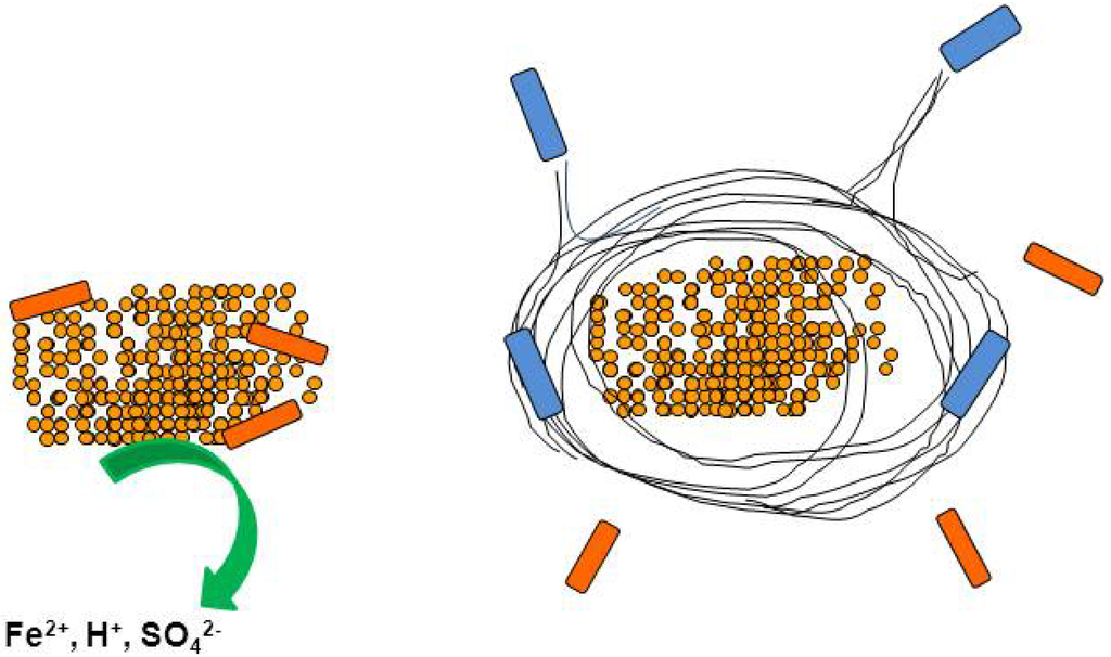Minerals 04 00279 g001 1024