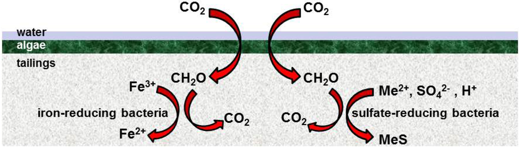 Minerals 04 00279 g003 1024