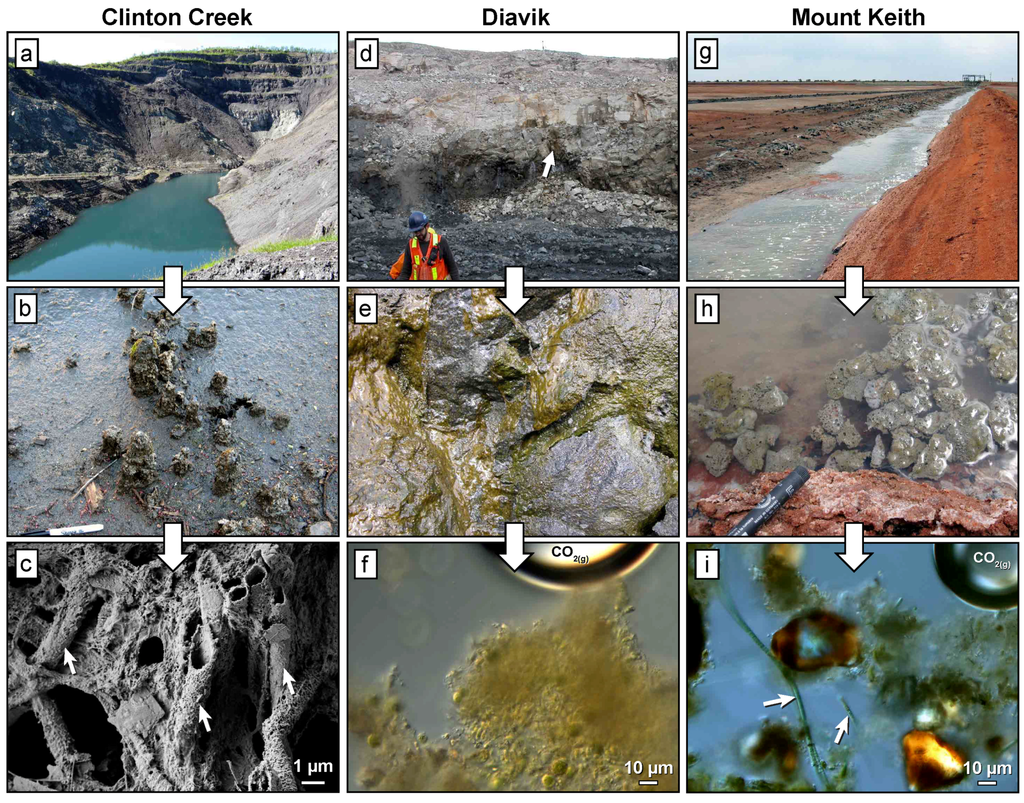 Minerals 04 00399 g002 1024