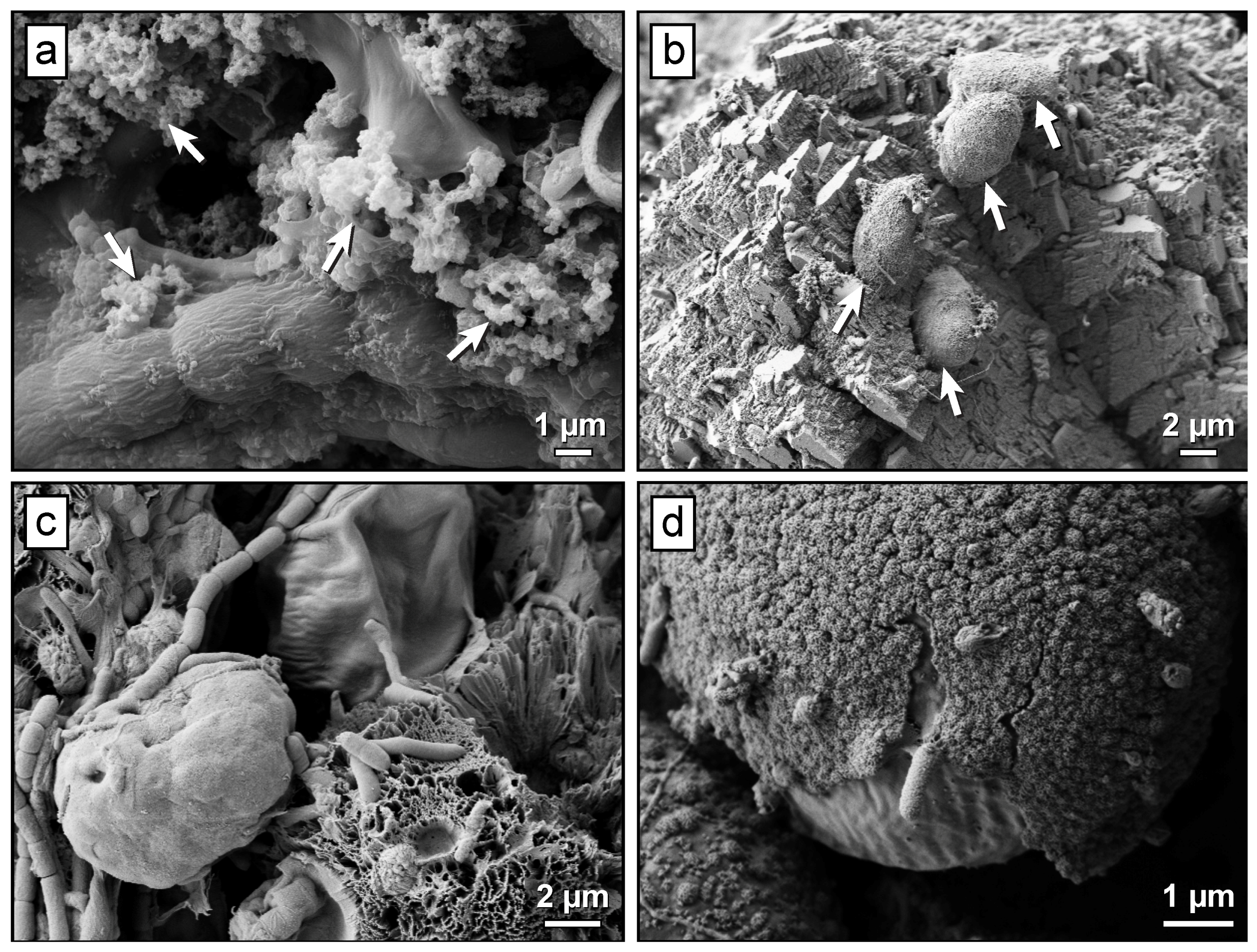 Minerals 04 00399 g005
