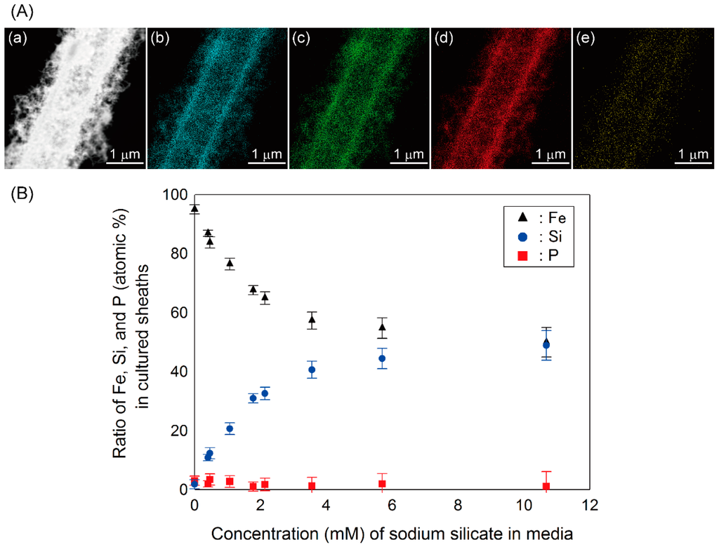 Minerals 04 00565 g003 1024