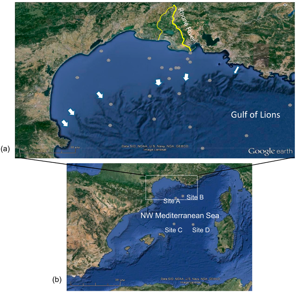 Minerals 04 00716 g004 1024