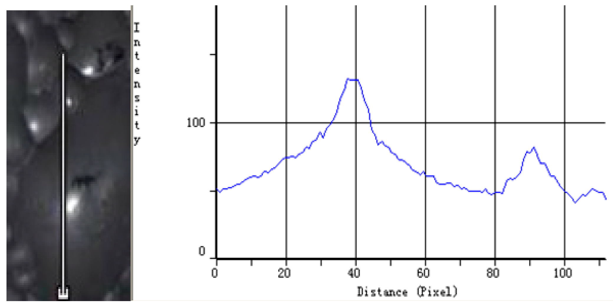 Minerals 05 00142 g003