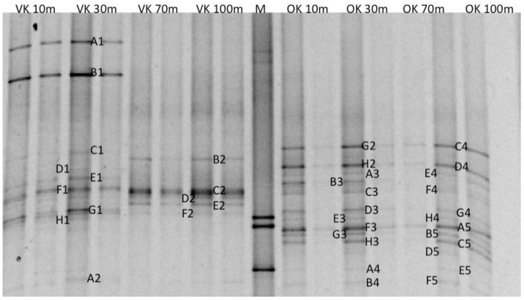 Minerals 05 00452 g004 1024