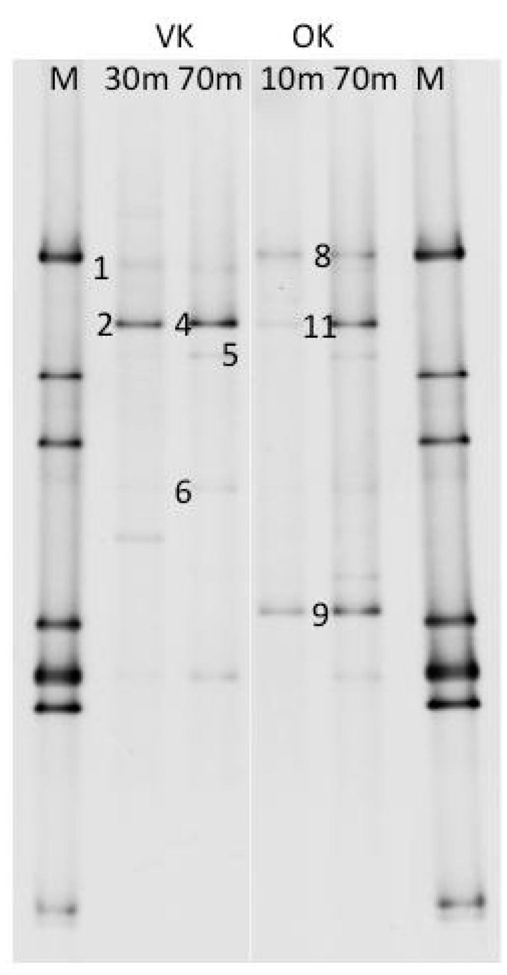 Minerals 05 00452 g007 1024
