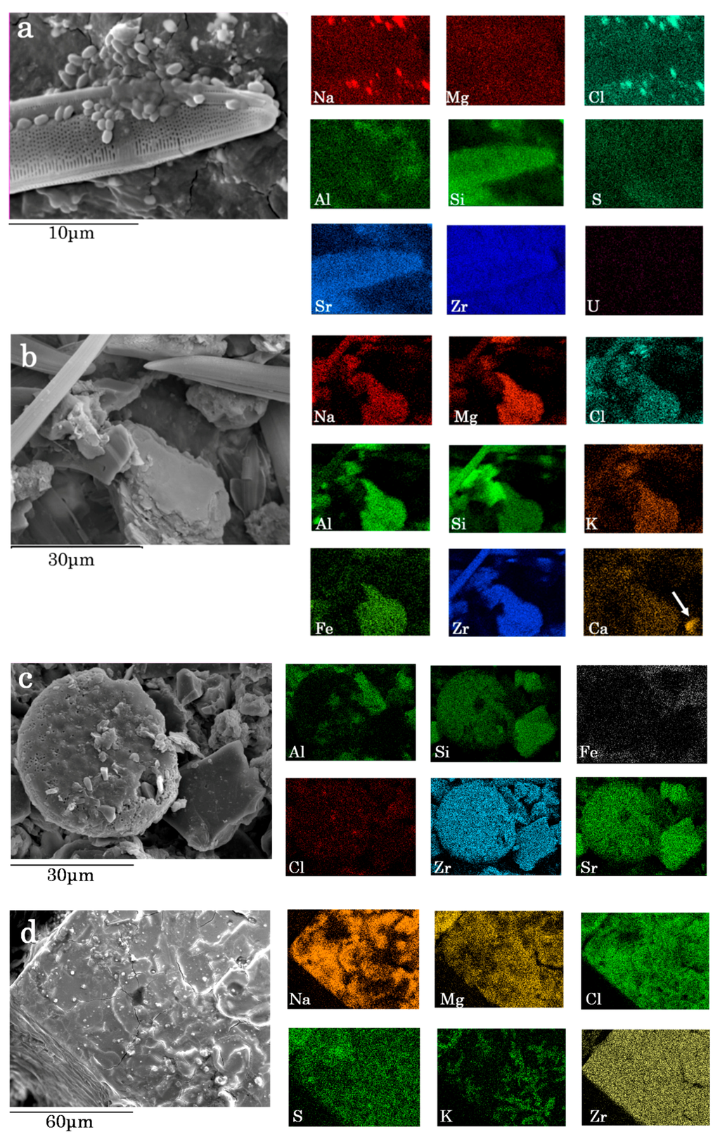 Minerals 05 00529 g004 1024